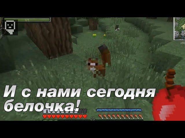 Лазуритный Гном - Самые смешные моменты #11 - (2 мар. 2014 г.)*