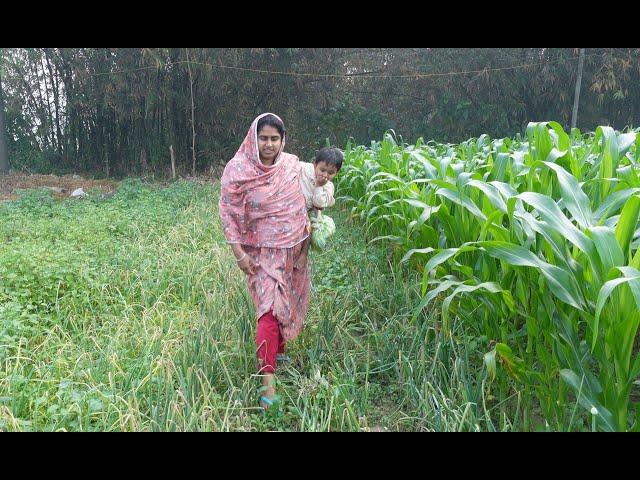 এইভাবে কি কেউ পেয়াজ চাষ করে  | Doyel Agro