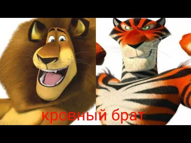 кровный брат/ алекс и Виталий мадагаскар 3