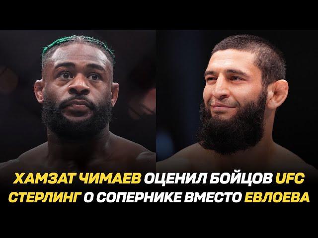 Хамзат Чимаев оценил уровень бойцов UFC / Алджамейн Стерлинг о сопернике вместо Мовсара Евлоева