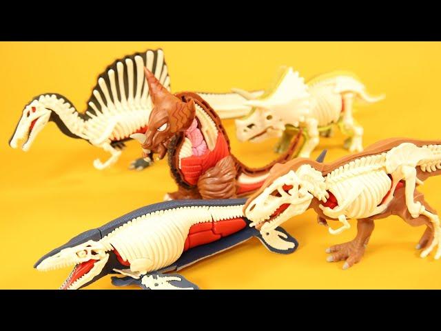 Kaiju & Dinosaurs Dismantling -Godmolla -