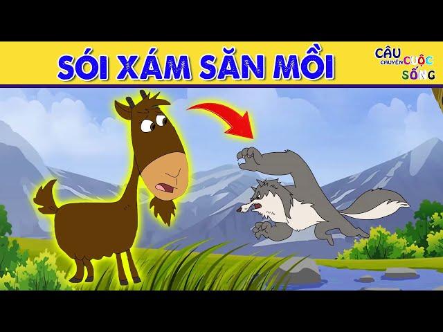 SÓI XÁM SĂN MỒI - Phim hoạt hình - Truyện cổ tích - Hoạt hình - Cổ tích - Quà tặng cuộc sống