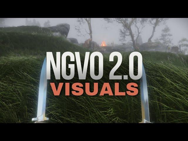 Skyrim 2024 - Getting The Best Visuals with with NGVO 2.0!  - 4k 60FPS #skyrim #modding