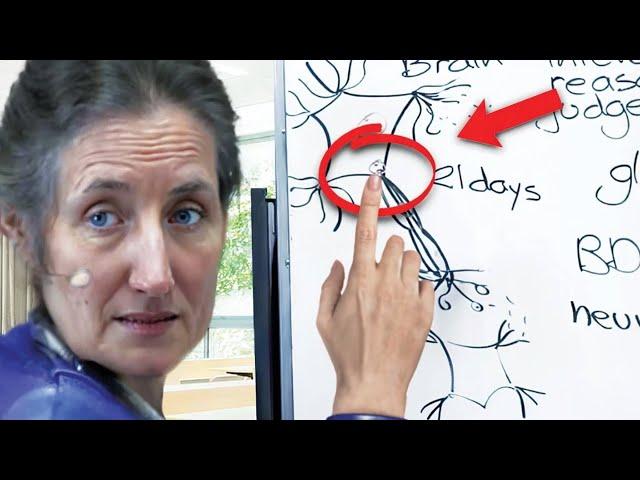 It Is In This Part Of The Brain Where GOD Communicates With Men