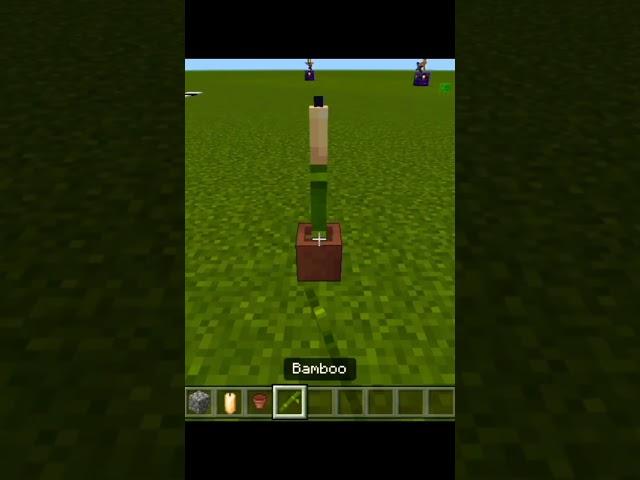 Minecraft Tiktok Hack #viral #minecraft