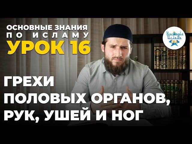 УРОК 16. ГРЕХИ ПОЛОВЫХ ОРГАНОВ, РУК, УШЕЙ И НОГ. ОСНОВНЫЕ ЗНАНИЯ ПО ИСЛАМУ