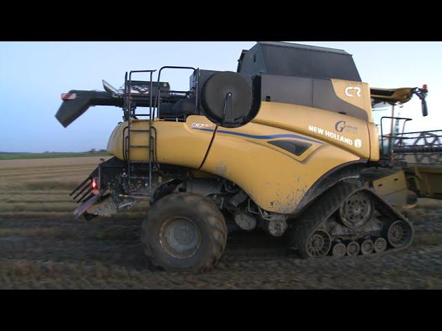 New Holland CR 7.90 Riso 2024 Pavia