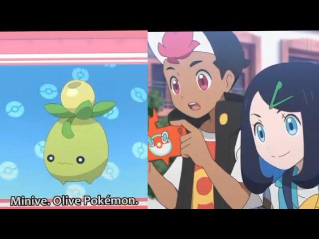 Pokemon smoliv pokedex | Pokemon horizon |