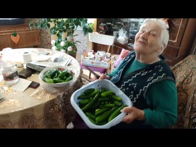 СОБАКИ ОТ ГРОЗЫ ПРЯТАЛИСЬ В БАКЛАЖАНЕ. А БАБУЛЯ НАЧАЛА СЕЗОН ЗАСОЛКИ.