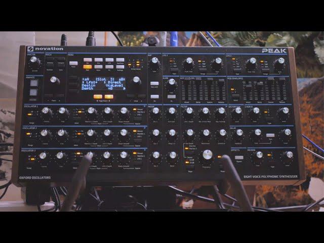 Novation Peak | Ambient II