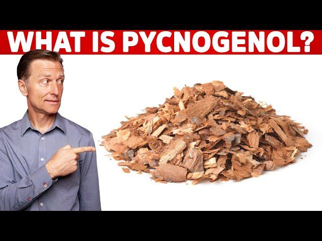 What is Pycnogenol?