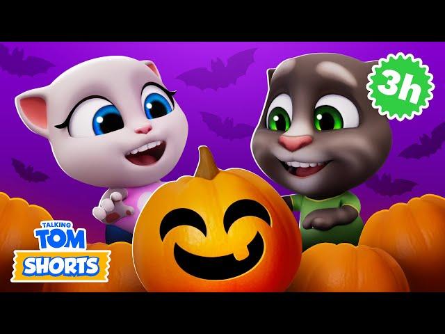 Halloween Party with Tom  Talking Tom Shorts Compilation