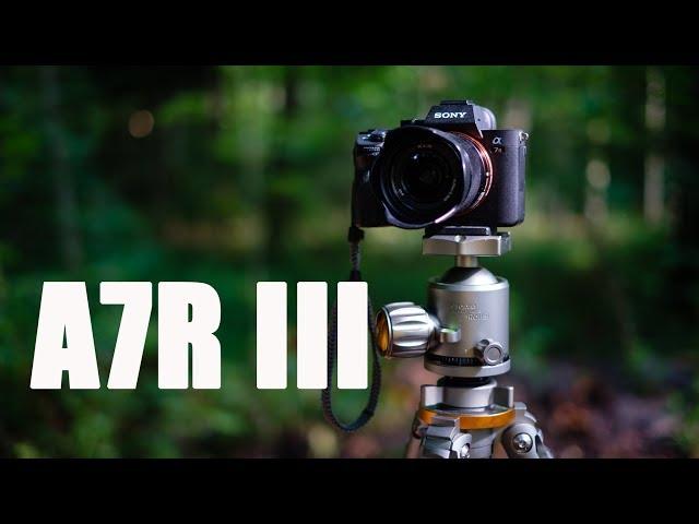 Sony A7R III Langzeit-Testbericht - Kamera Review