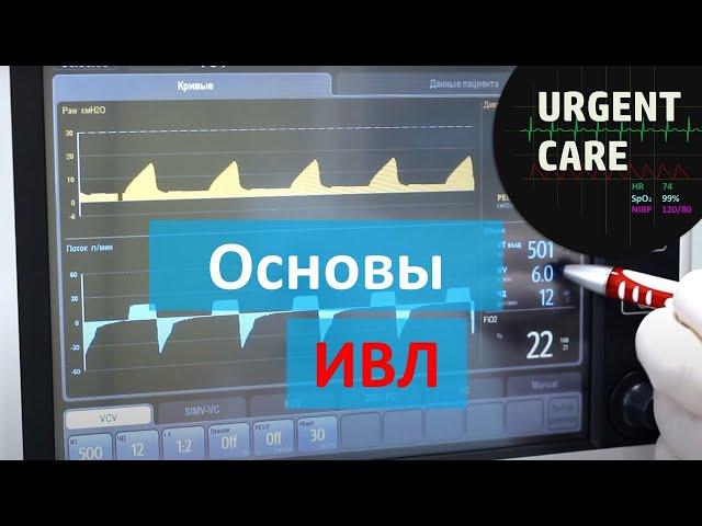 Основы ИВЛ