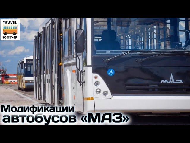 Разновидности и модификации автобусов МАЗ | Bus "MAZ"