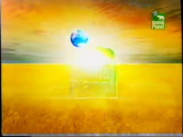 Ident Animal Planet Internation (2006-2008)