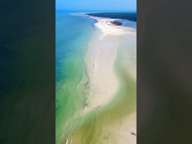 Holbox Island Paradise Beaches #shorts