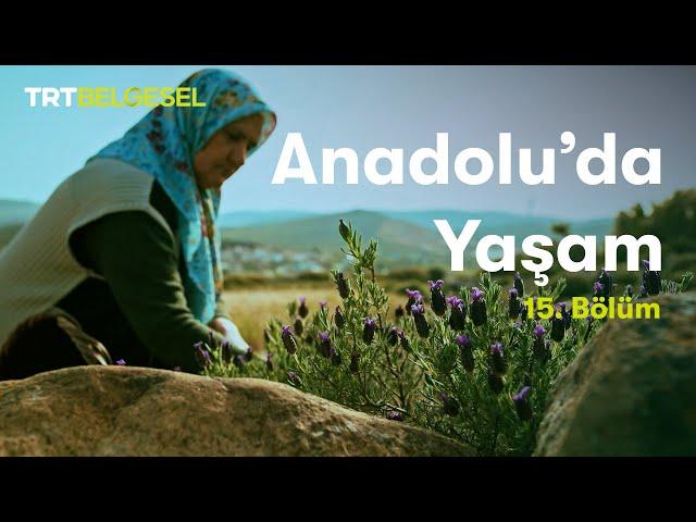 Anadolu'da Yaşam | Ege Bölgesi | TRT Belgesel