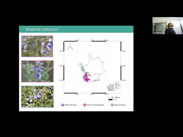 Exploring the medicinal and aromatic properties of southern African Lamiaceae