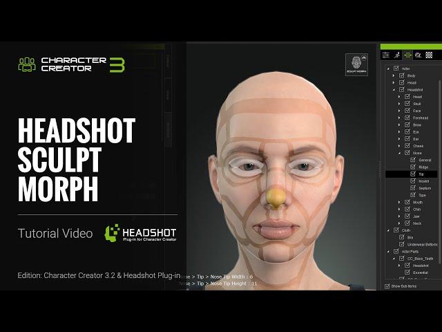 Headshot Plug-in Tutorial - Sculpt Morph