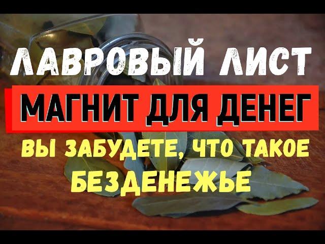 Лавровый лист для привлечения денег! ВЫ ЗАБУДЕТЕ, ЧТО ТАКОЕ БЕЗДЕНЕЖЬЕ!