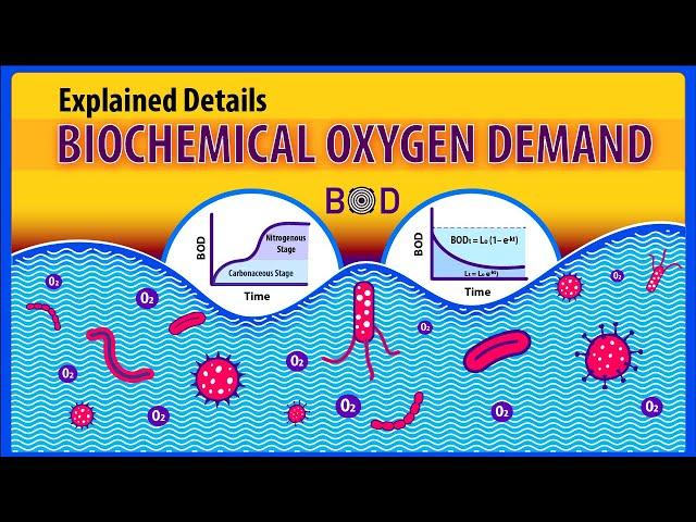 Biochemical Oxygen Demand (BOD): Explained details (Animation)