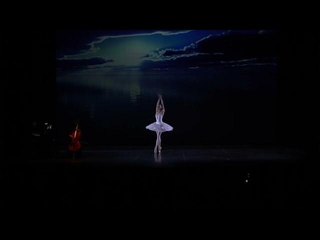 Stars Gala 2022 / The Dying Swan / Svetlana Bednenko