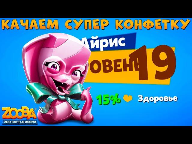 19 УРОВЕНЬ - КАРАМЕЛЬНАЯ ЗМЕЯ АЙРИС В ИГРЕ ZOOBA