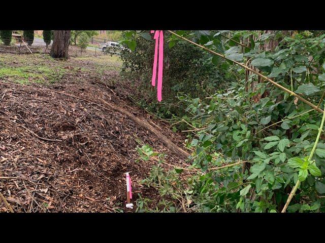 Surveyor finds - boundary fence wrong!