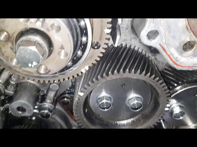 Top timing gear ford everest TDCI