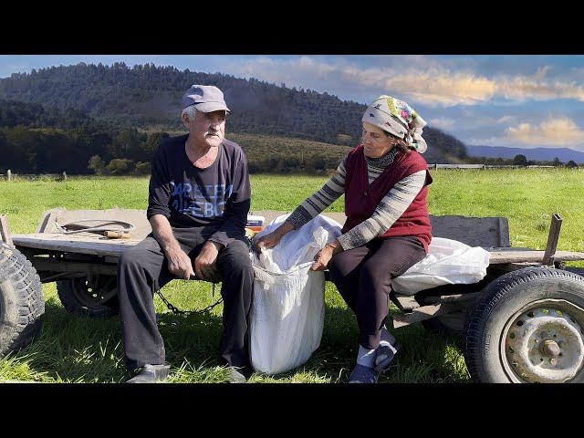 Daily affairs in difficult life of a family in a remote mountain village