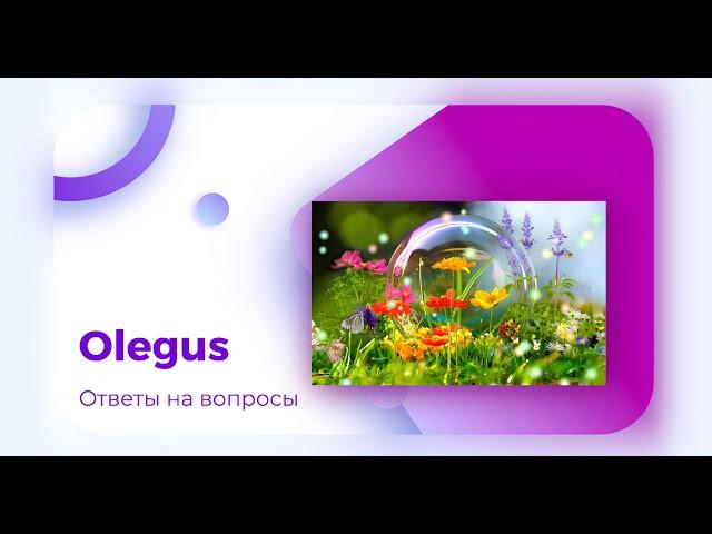 Прямой эфир с Olegus. Ответы на Ваши вопросы.