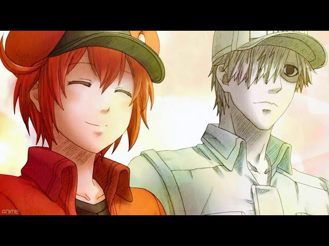 Cells at Work  [AMV] - You're The Worst