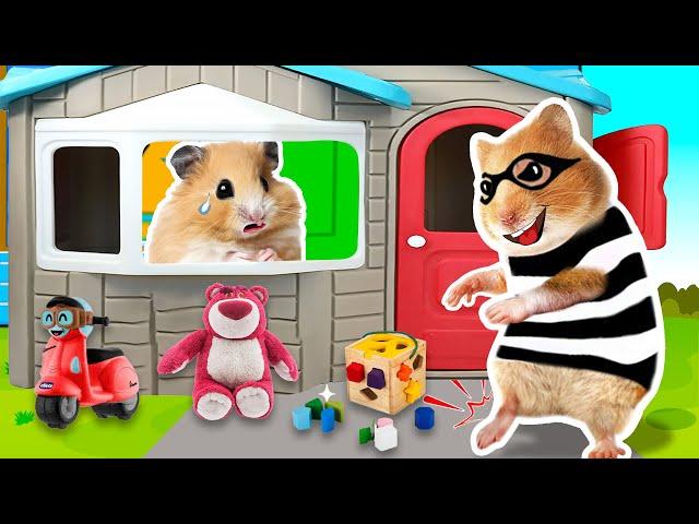 Caution! Stranger Lurking Around Hamster's House!HAMSTER OBSTACLE COURSEHammyHappyTDC