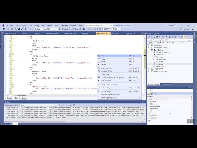 How to pass multiple parameters in a querystring in ASP.NET