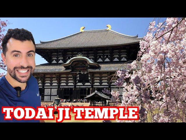 Exploring the Majestic Buddha Todai-ji Temple in Nara | Travel Vlog 