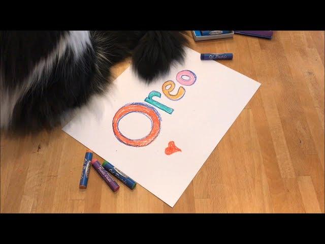 The Fabulous Famous Oreo Cat!