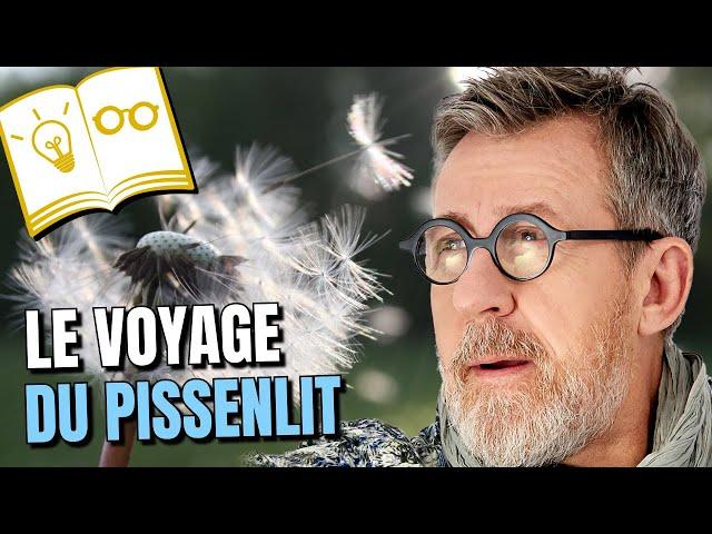 Le voyage du pissenlit | Confinement Jour 38