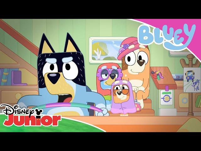 Bandit the Bus Driver  | Bluey  | Disney Junior Arabia