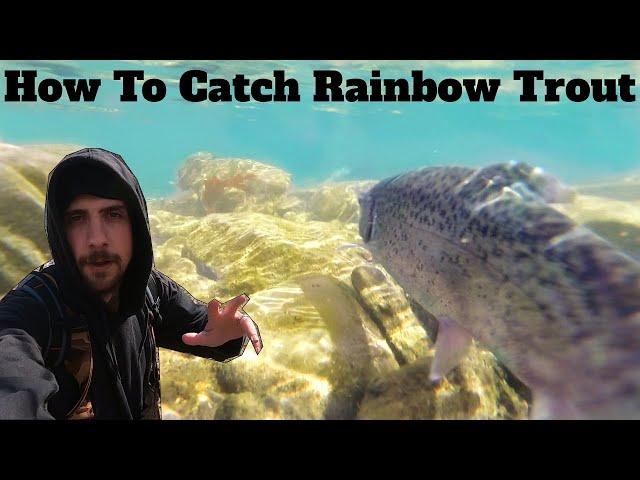 How to Catch Rainbow Trout: Rainbow Trout Fishing Tips and Tricks | SFSC