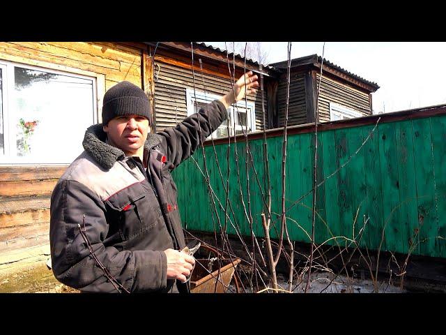 Про домашние хлопоты,  хитрую крысу и первые покатушки