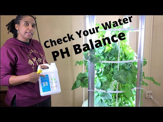 EASY Way To Check The Water PH Balance for Tower Garden