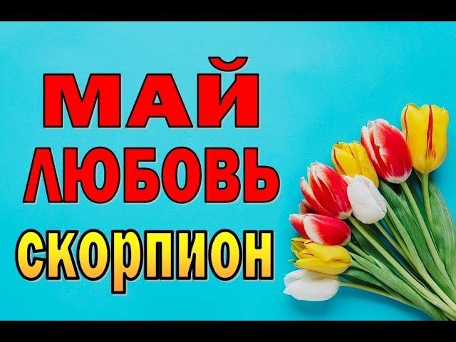 СКОРПИОН  ЛЮБОВЬ  МАЙ. Таро прогноз гороскоп