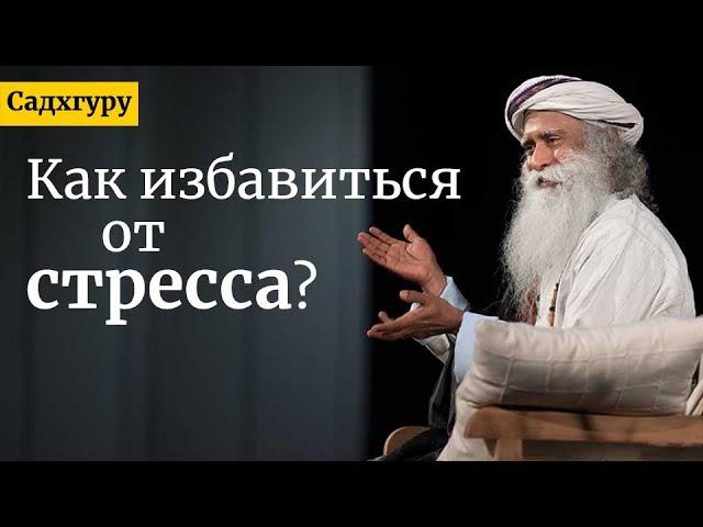 Как избавиться от стресса? Садхгуру