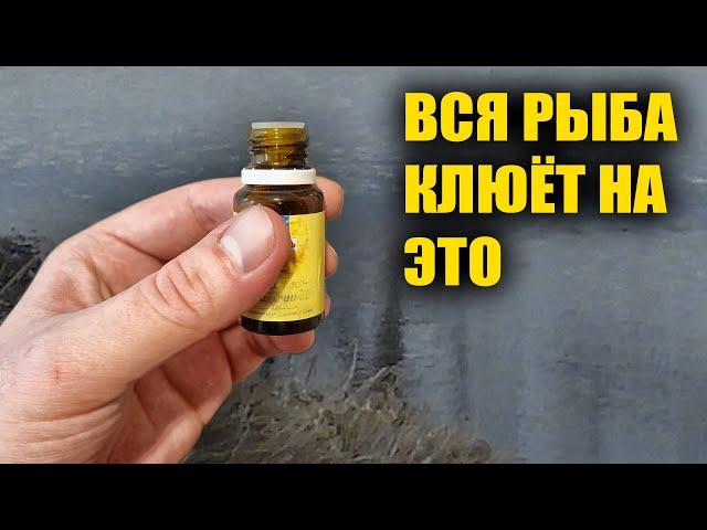 Вся рыба клюёт на это! Каждый рыбак уважающий себя должен сделать такой активатор клёва