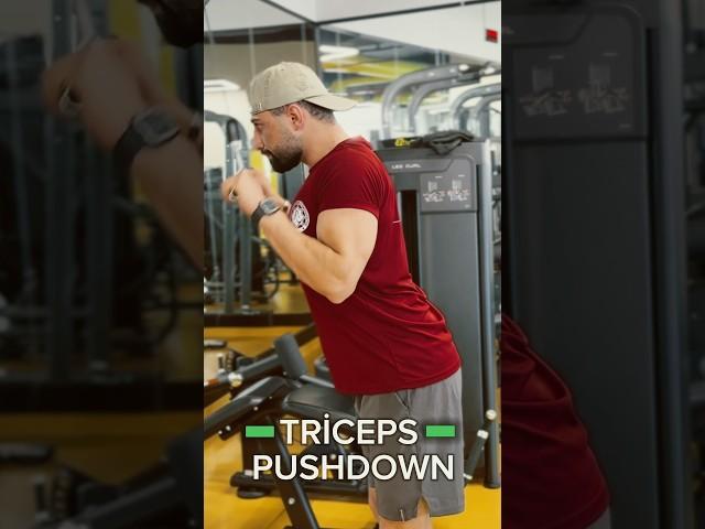 PUSHDOWN ya da TRİCEPS PUSHDOWN #fitness #motivation #egzersiz #gym #triceps #armday #kolgünü #spor