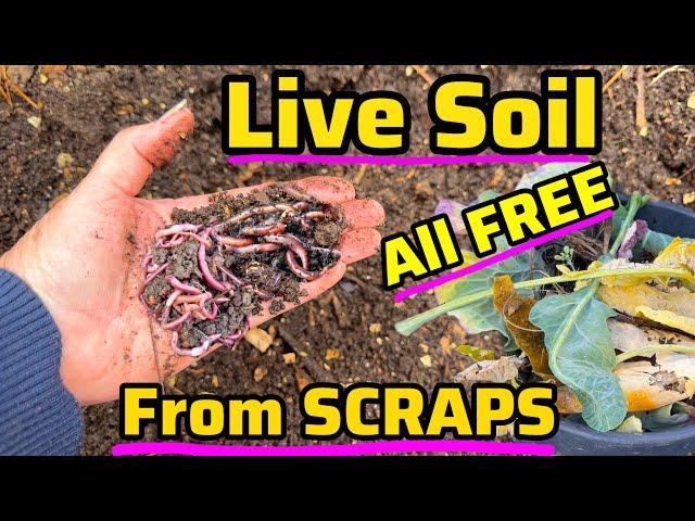 How to Make SOIL for FREE & SAVE Money EASY Natures Way for Gardening Vegetables in Container Garden