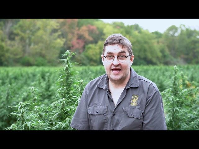 Why we started Cornbread Hemp™