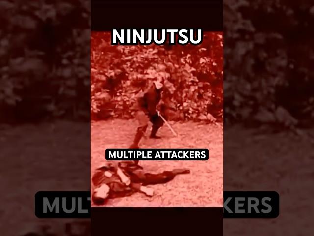 TOMO RYU SHINOBIJUTSU - Historical Ninjutsu Training  #Shorts #Ninjutsu #MartialArts