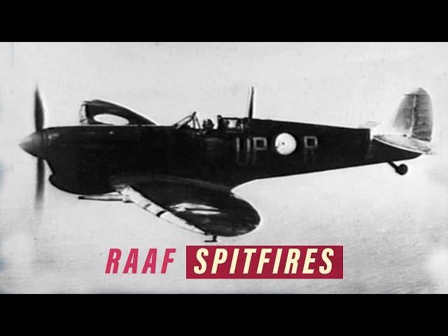 Spitfire in Australian Service